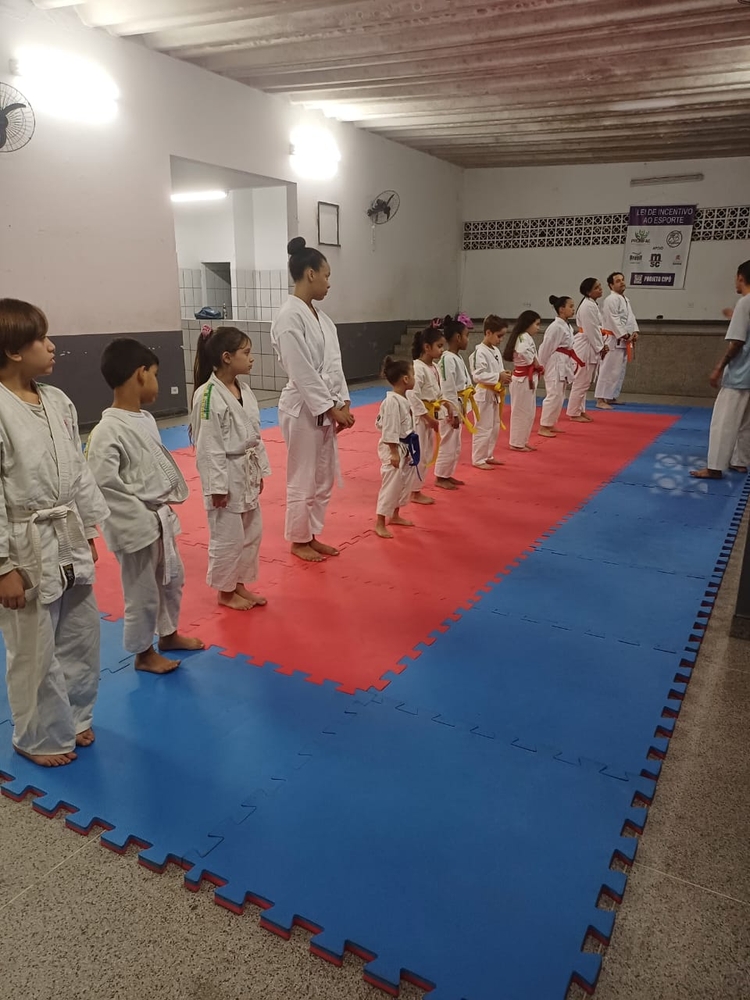 Ação Piratininga