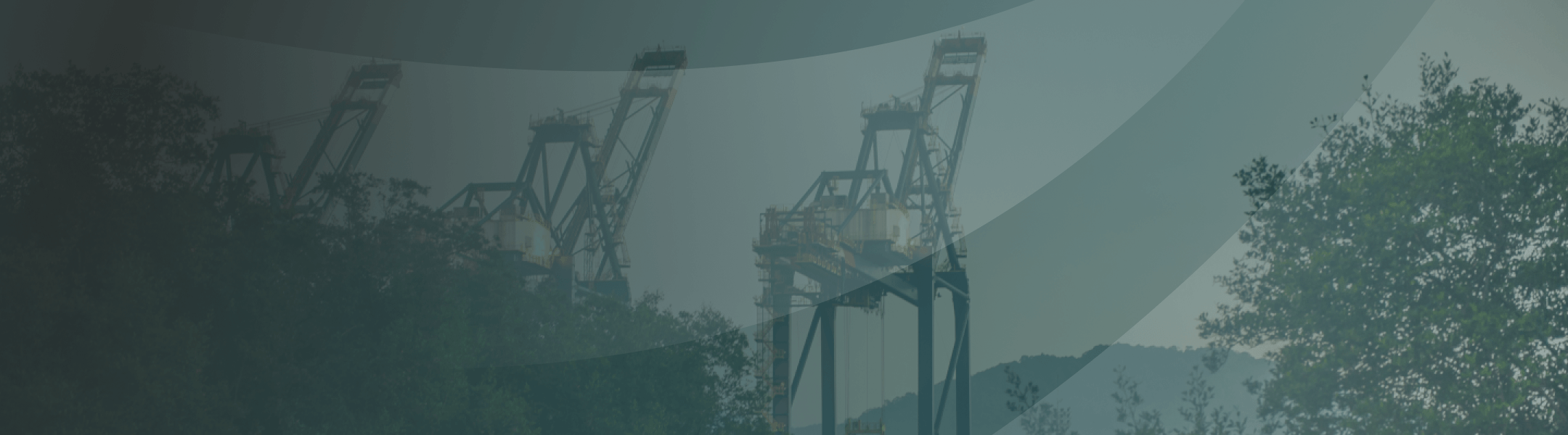 Banner da página Environmental