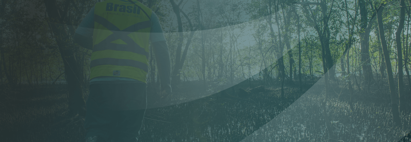 Banner da página Management Structure